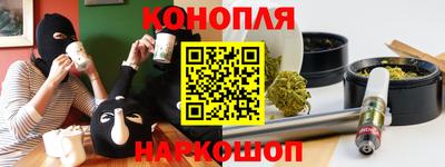 сатива Кунгур