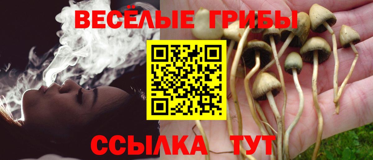 Галлюциногенные грибы Psilocybe  Вход с VPN  Ижевск  Псилоцибиновые грибы мухоморы 
